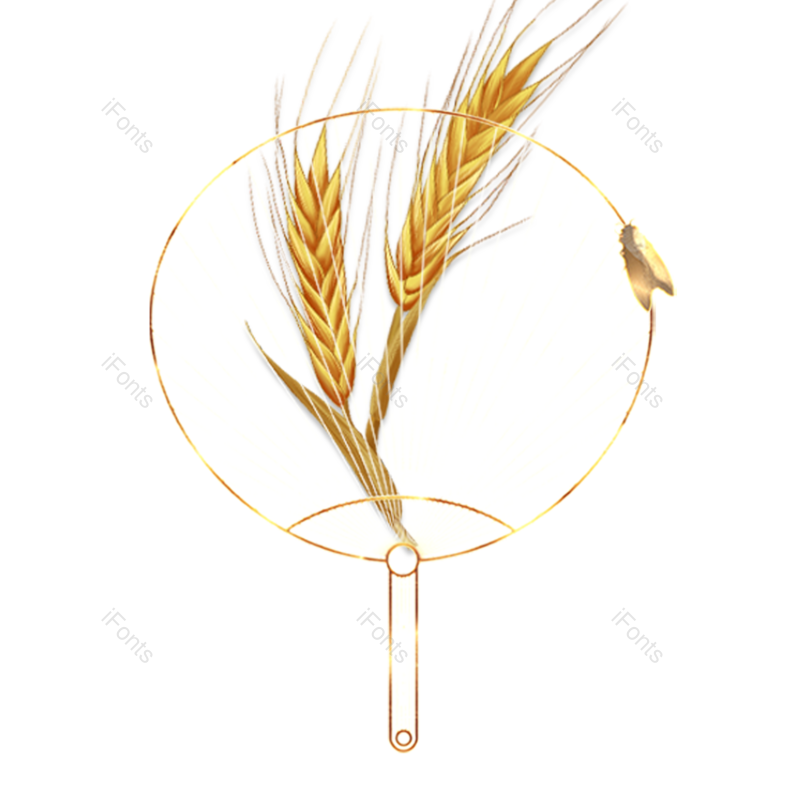 小满图片,清新元素,秋天PNG,丰收免抠素材